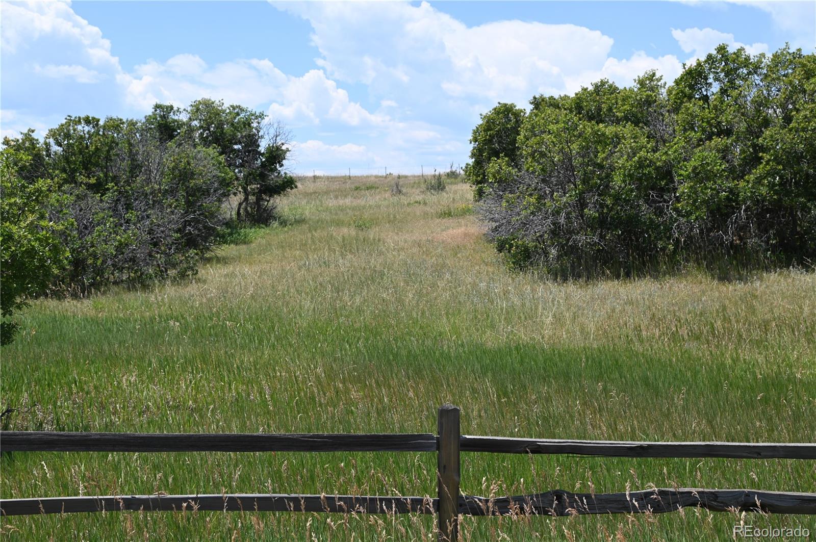1579 Deerpath Road Franktown, CO 80116 - Photo 13 of 49 a view of a garden from a window