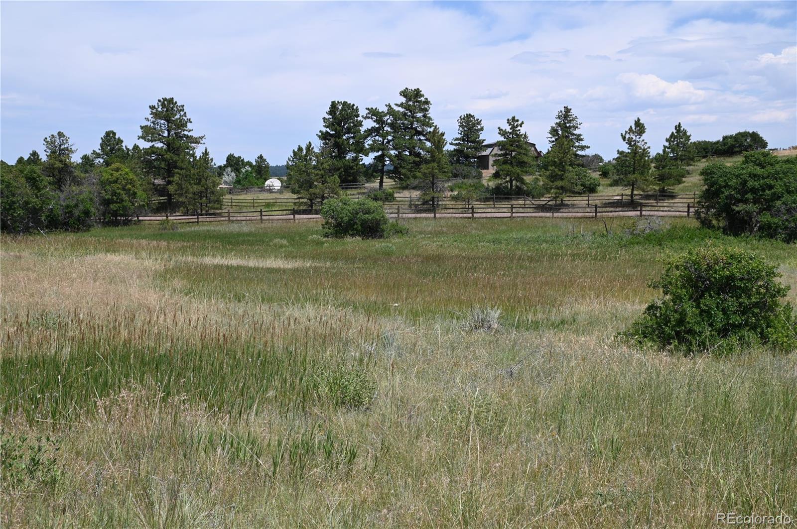 1579 Deerpath Road Franktown, CO 80116 - Photo 16 of 49 a view of a garden from a lake