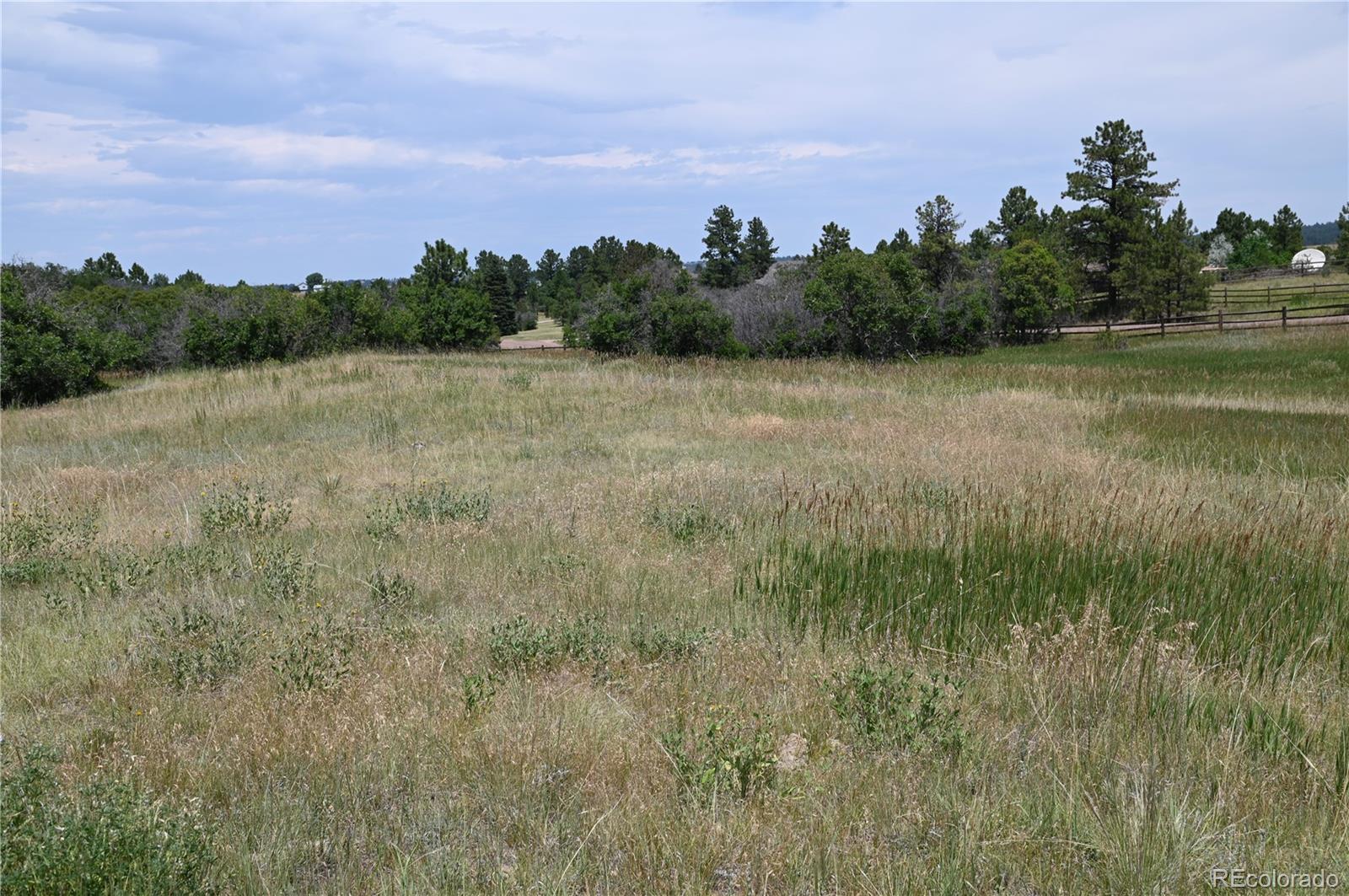 1579 Deerpath Road Franktown, CO 80116 - Photo 17 of 49 a view of a lake with a yard
