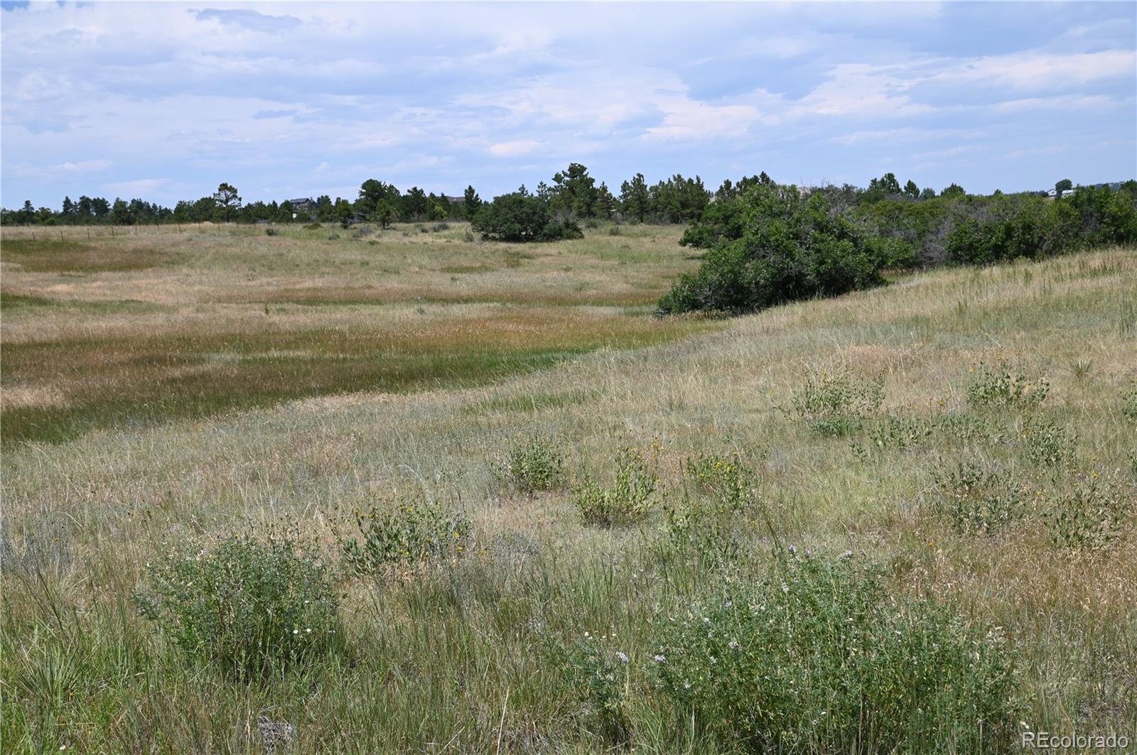 1579 Deerpath Road Franktown, CO 80116 - Photo 18 of 49