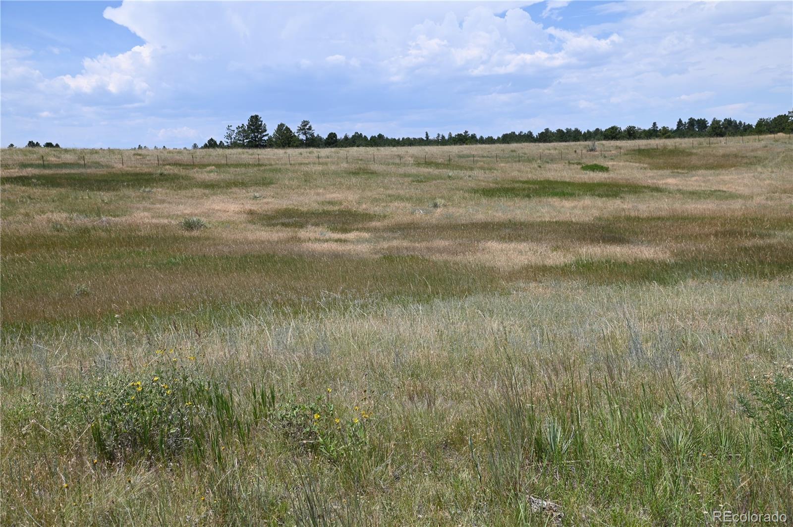 1579 Deerpath Road Franktown, CO 80116 - Photo 19 of 49 a view of a lake and a yard