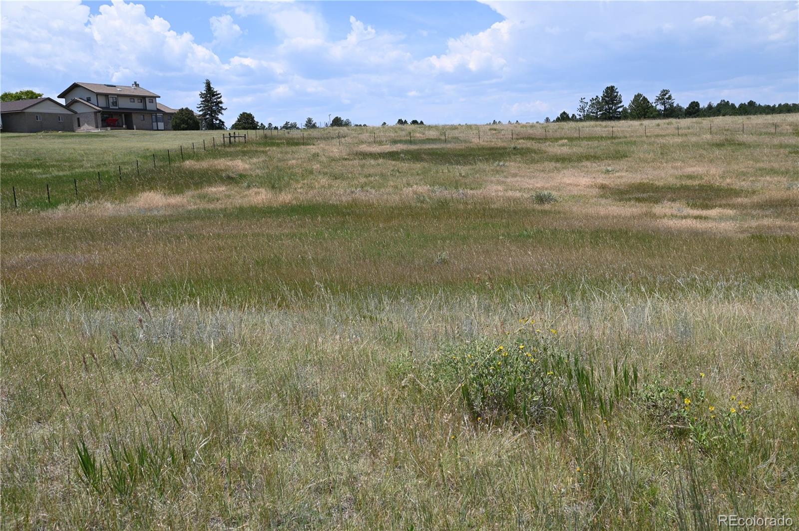 1579 Deerpath Road Franktown, CO 80116 - Photo 20 of 49 a view of a lake in middle of a house