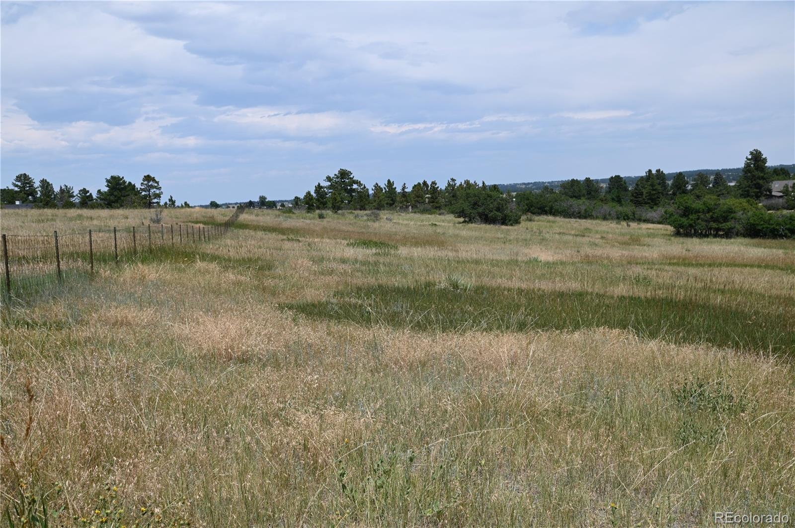 1579 Deerpath Road Franktown, CO 80116 - Photo 21 of 49 a view of a lake from a yard