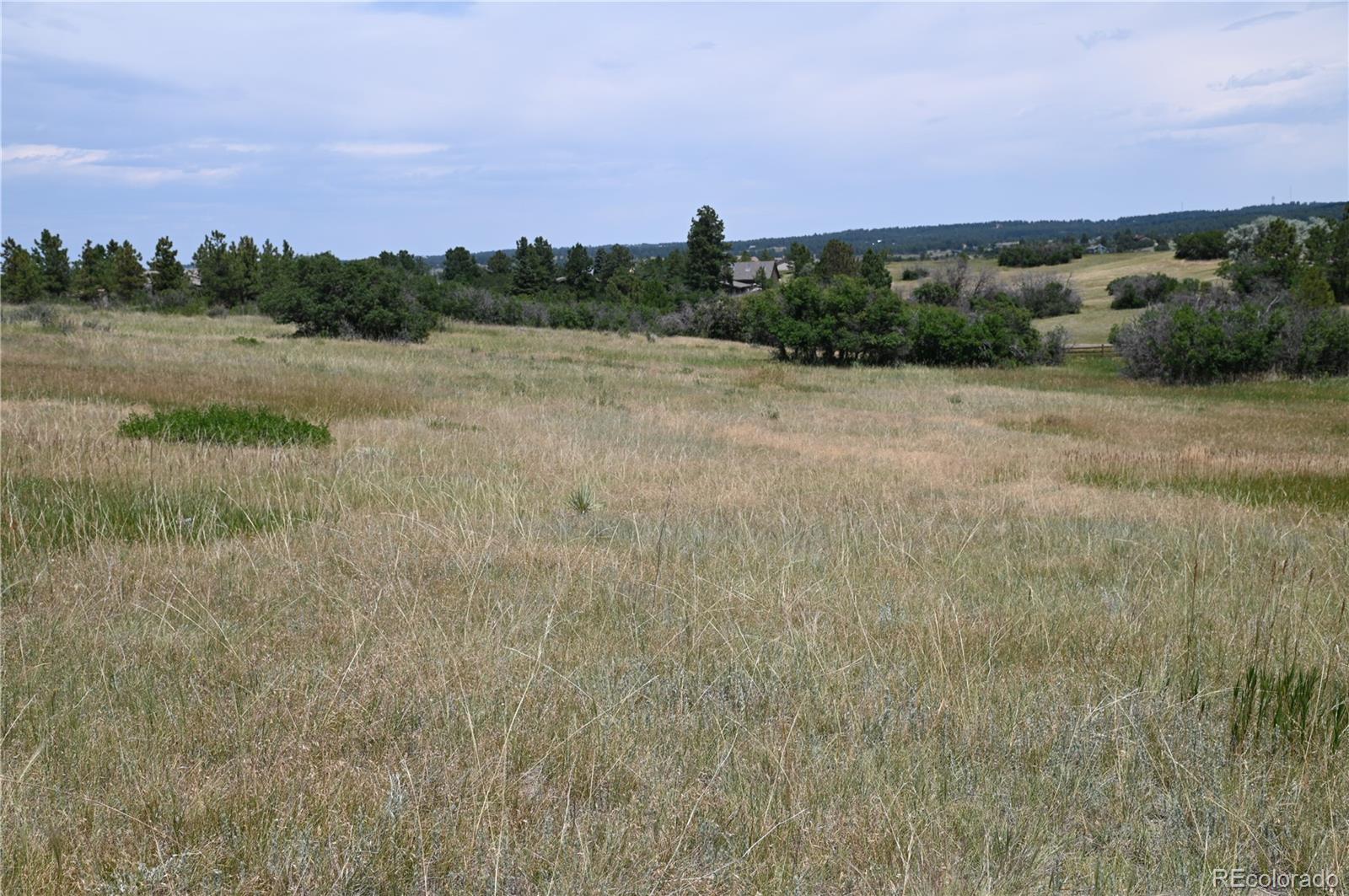 1579 Deerpath Road Franktown, CO 80116 - Photo 25 of 49 a view of a lake with houses in the back