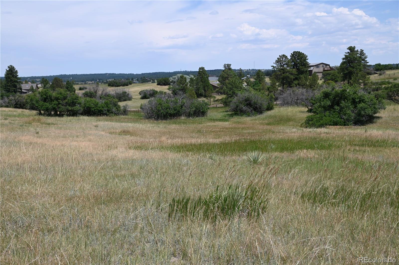 1579 Deerpath Road Franktown, CO 80116 - Photo 26 of 49 a view of a field of grass and trees