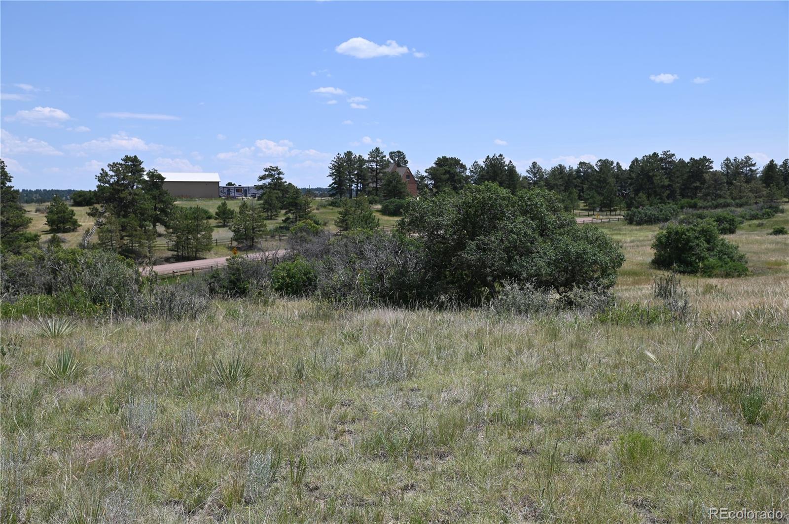 1579 Deerpath Road Franktown, CO 80116 - Photo 31 of 49 a view of a dry yard with trees