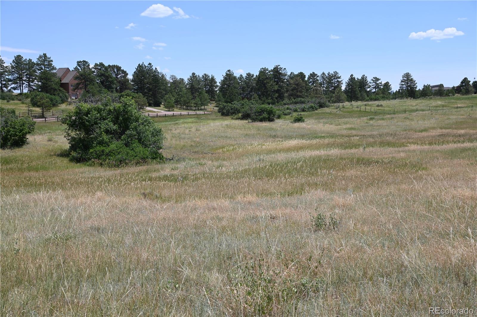 1579 Deerpath Road Franktown, CO 80116 - Photo 34 of 49 a view of field with trees in the background