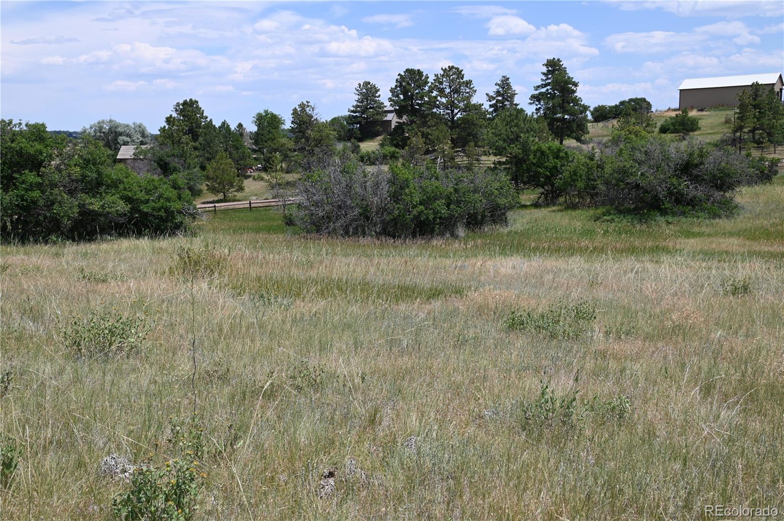 1579 Deerpath Road Franktown, CO 80116 - Photo 35 of 49 a view of a field with trees in the background