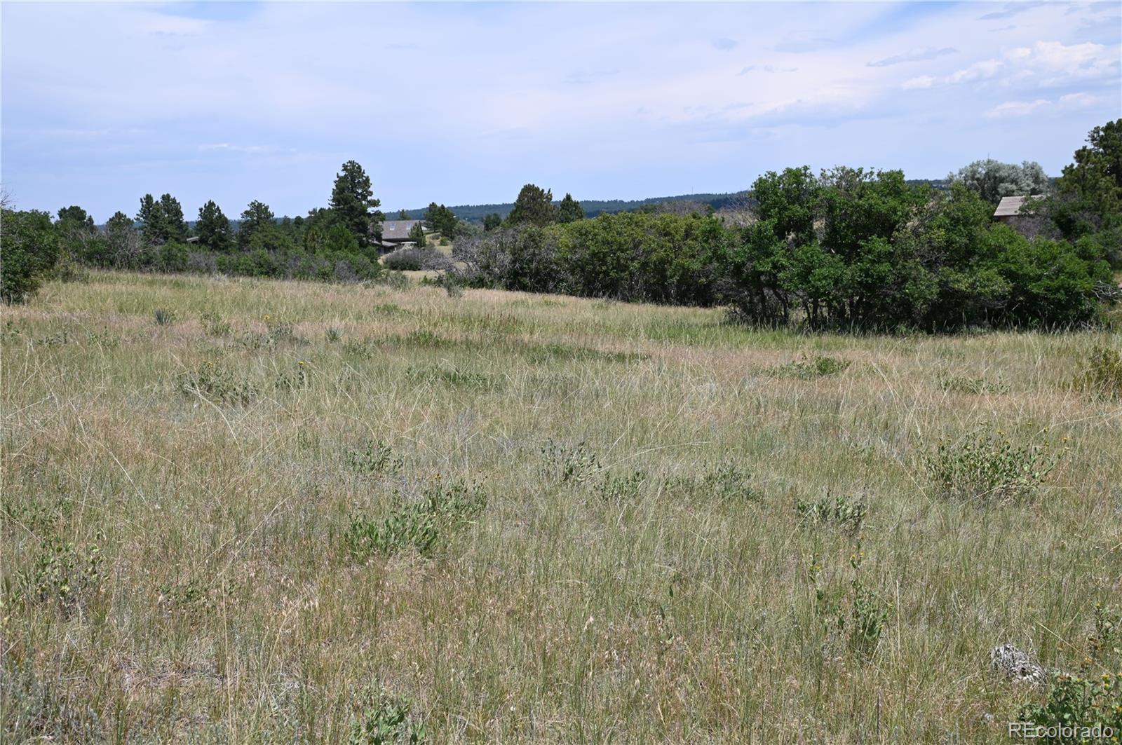 1579 Deerpath Road Franktown, CO 80116 - Photo 36 of 49 a view of a field