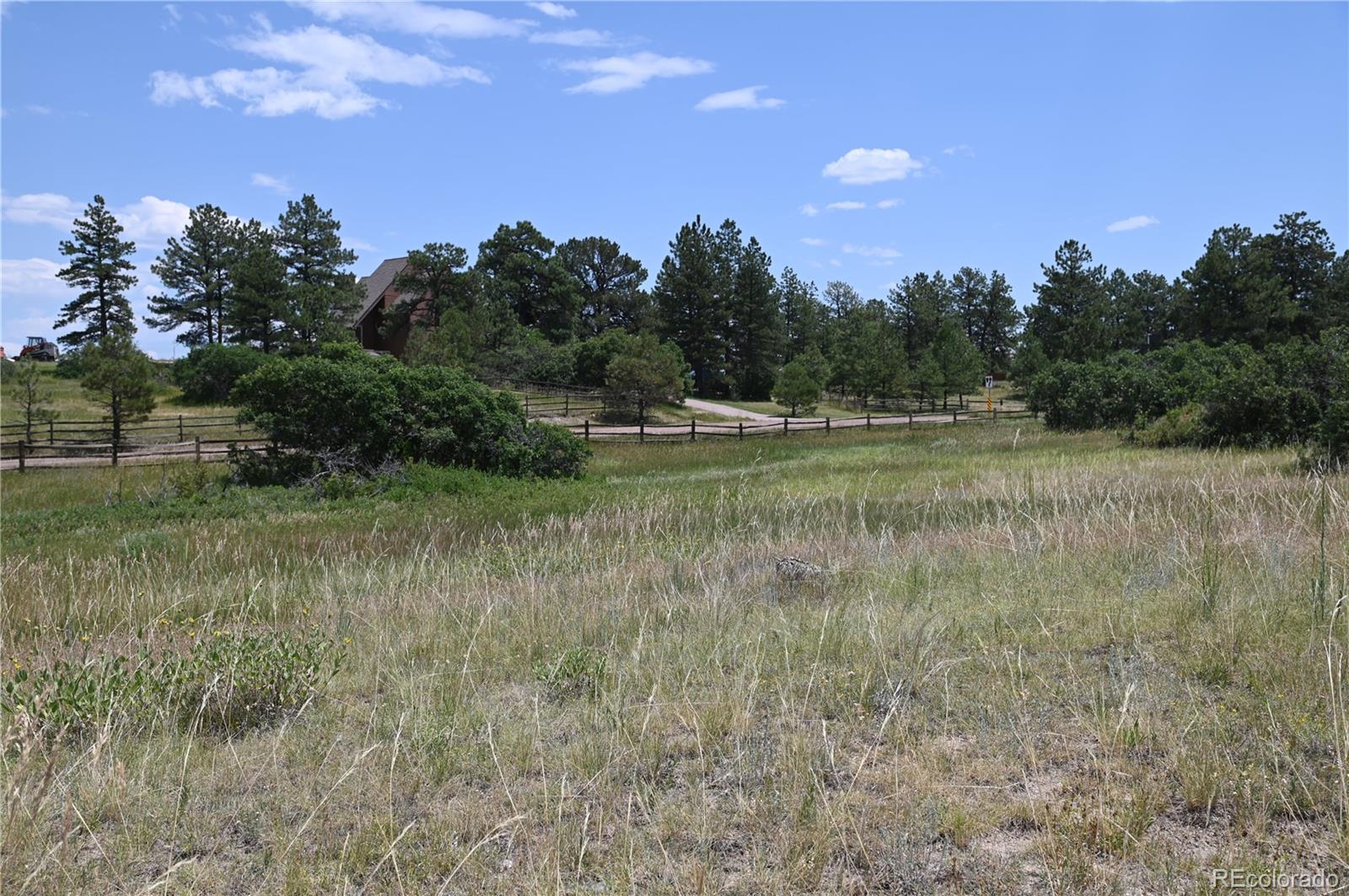 1579 Deerpath Road Franktown, CO 80116 - Photo 37 of 49 a view of outdoor space with green field and trees all around
