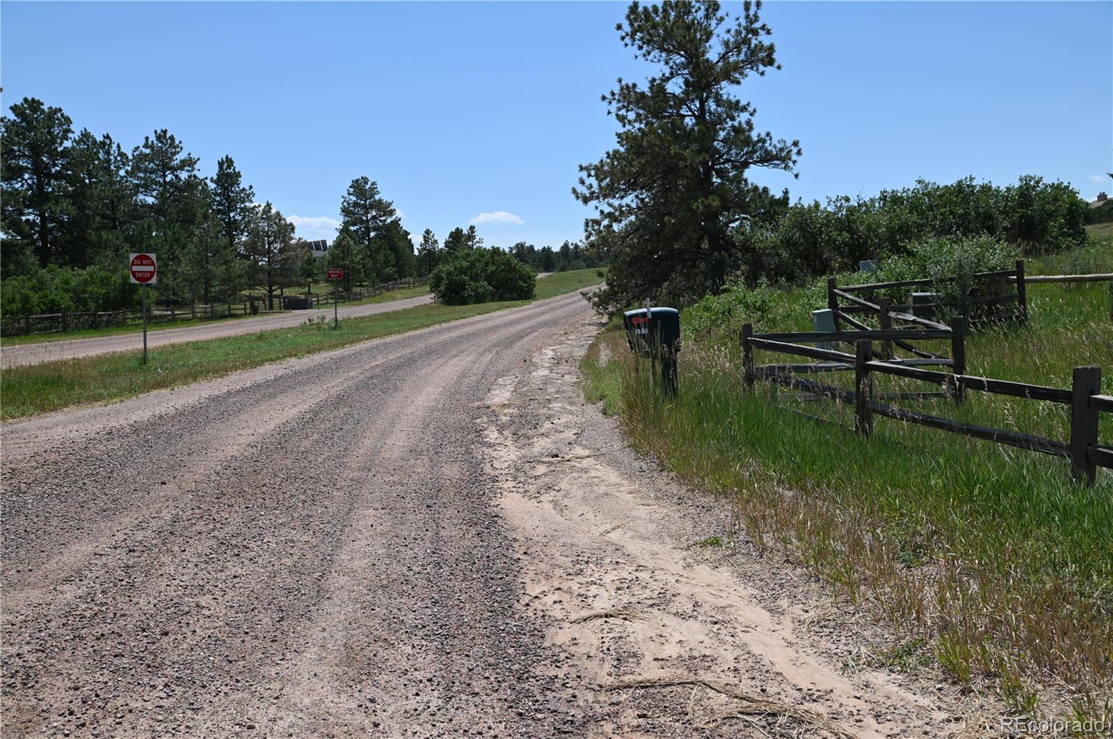 1579 Deerpath Road Franktown, CO 80116 - Photo 6 of 49 a view of a park with large trees