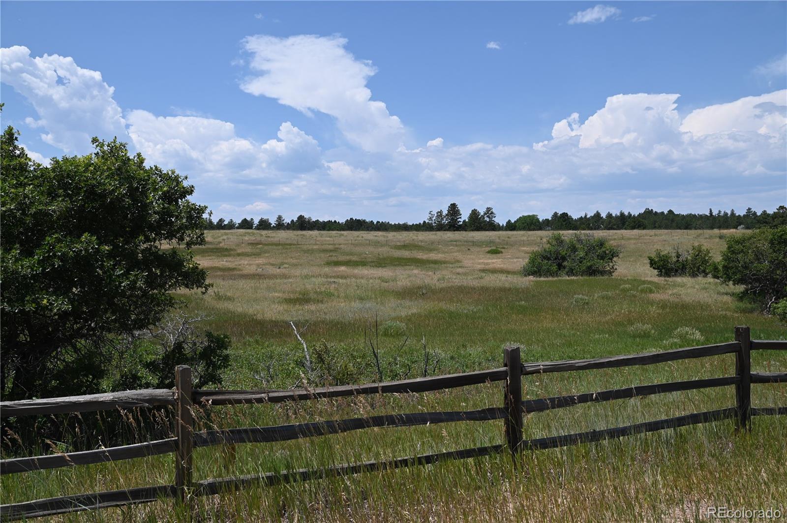 1579 Deerpath Road Franktown, CO 80116 - Photo 8 of 49 a view of a lake from a yard
