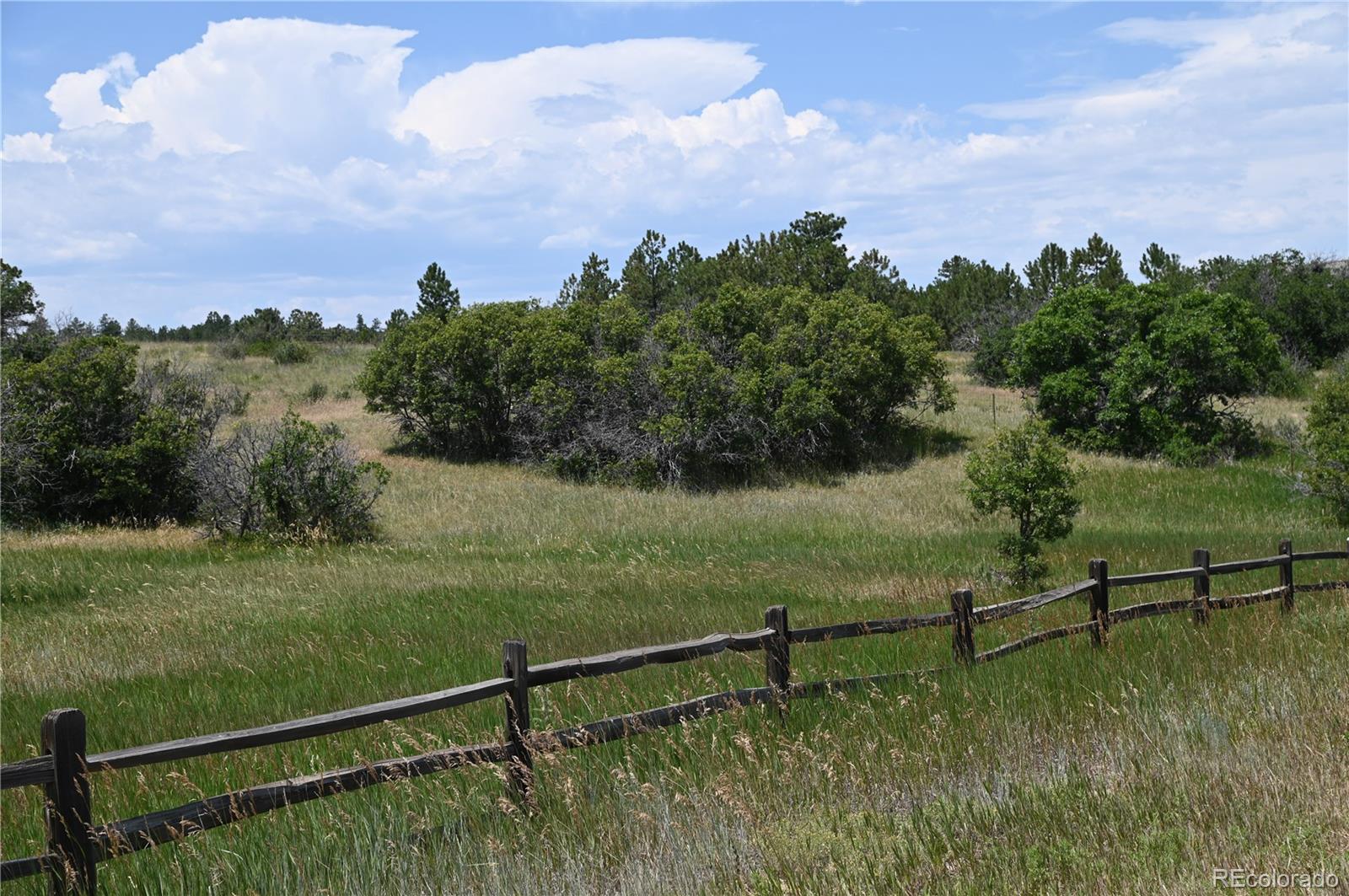 1579 Deerpath Road Franktown, CO 80116 - Photo 10 of 49 a view of a green yard with a yard