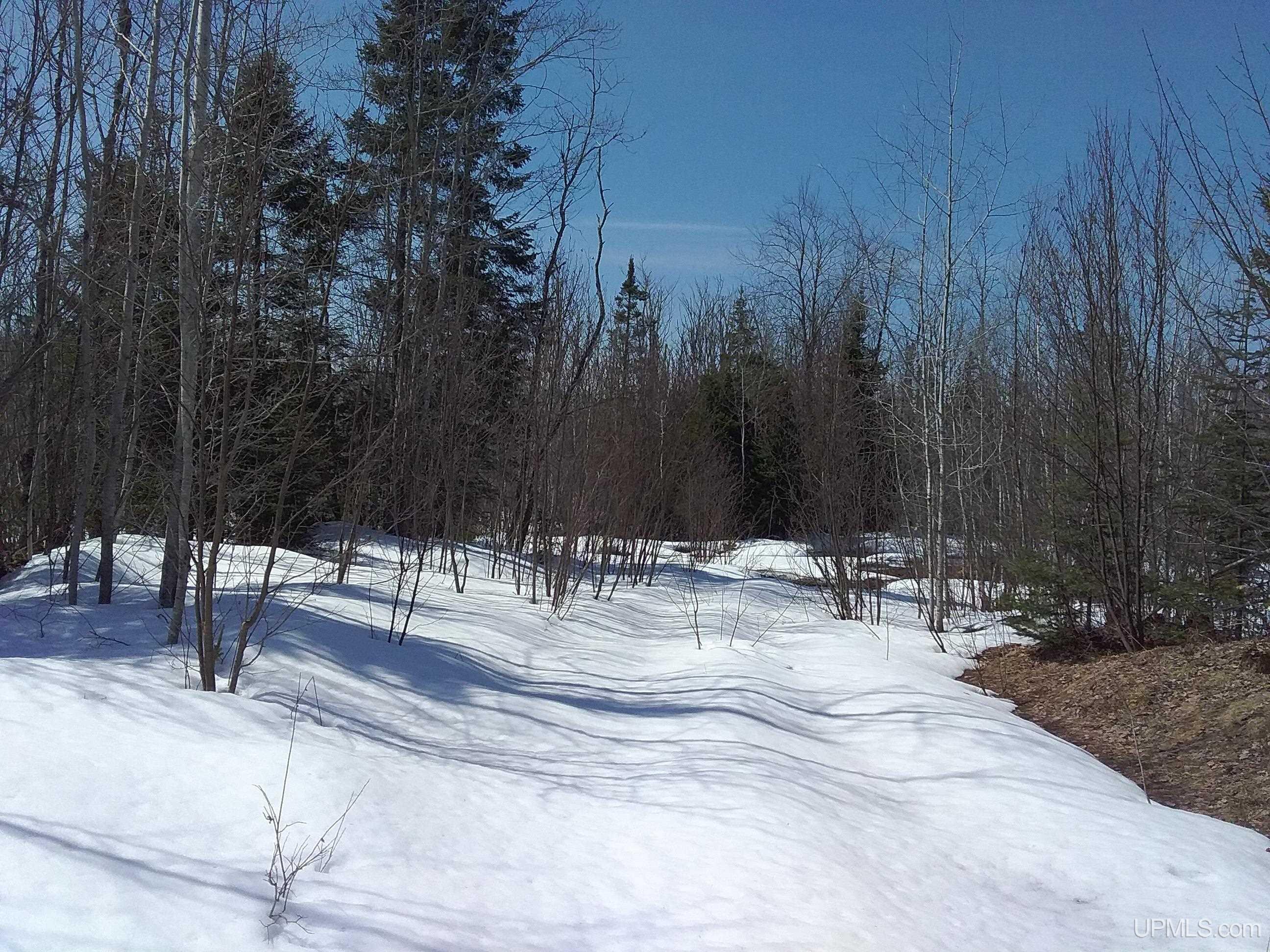 V25 Rd Trenary Mi 49891 Road Rapid River, MI 49878 - Photo 3 of 28