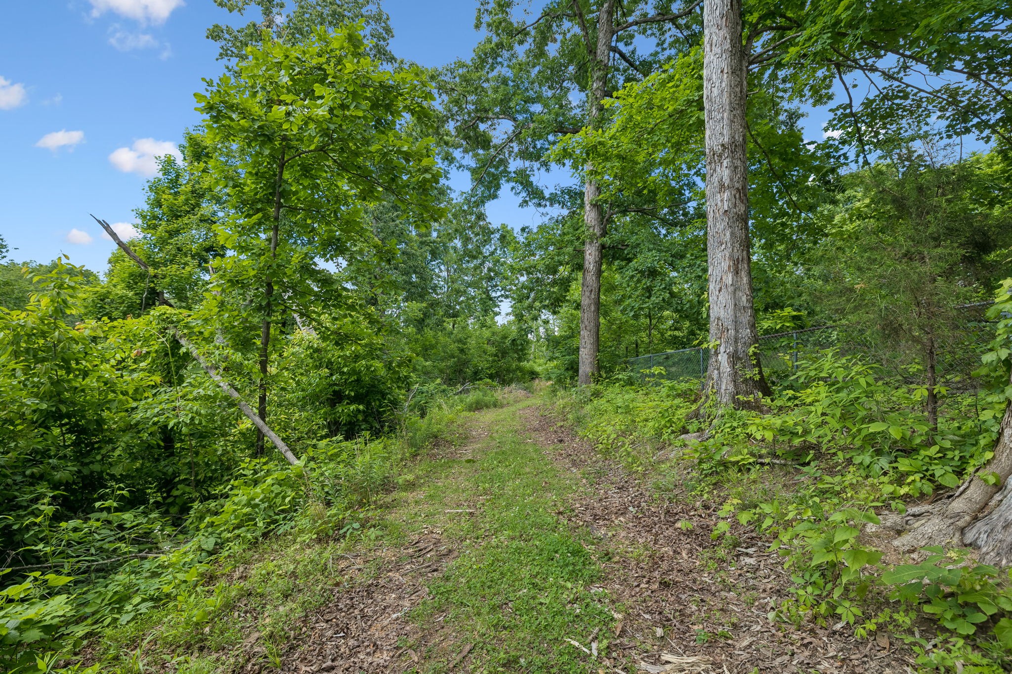 4754 Ridgetop Road Hampshire, TN 38461 - Photo 19 of 20 Gallery Image 19
