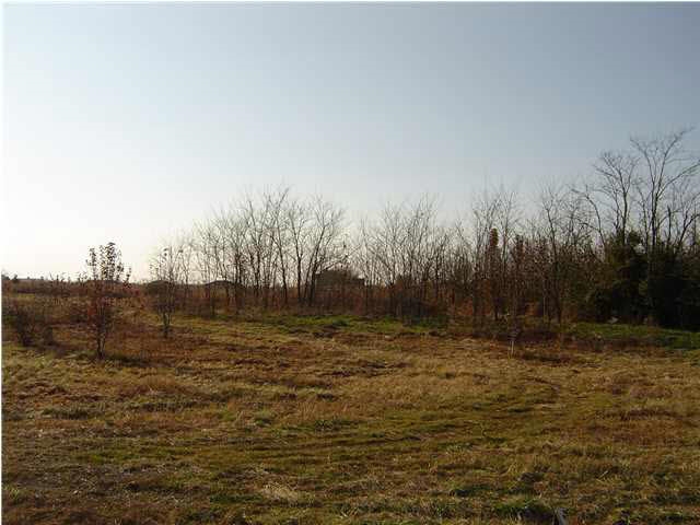 3711 Asbury Cemetery Road Elberfeld, IN 47613 - Photo 4 of 5 Gallery Image 4