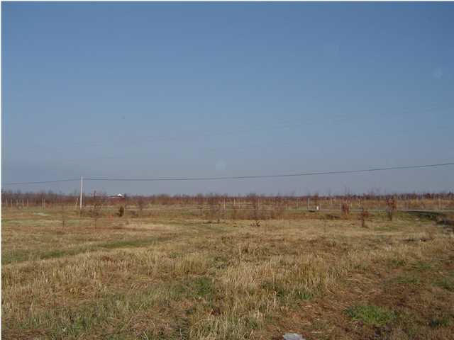 3711 Asbury Cemetery Road Elberfeld, IN 47613 - Photo 5 of 5 Gallery Image 5