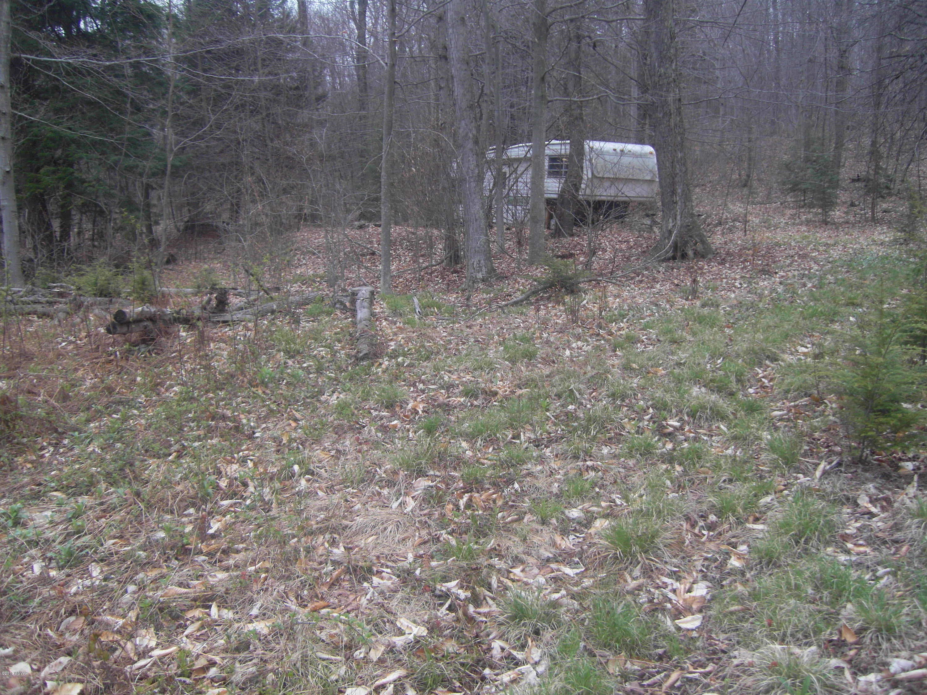 0 Hubtown Road, Unit LOT 6 Dushore, PA 18614 - Photo 5 of 5 SDC13968