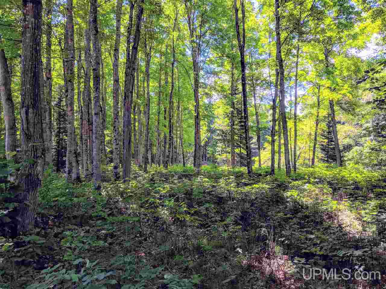 635 Co Road Marquette, MI 49855 - Photo 41 of 50