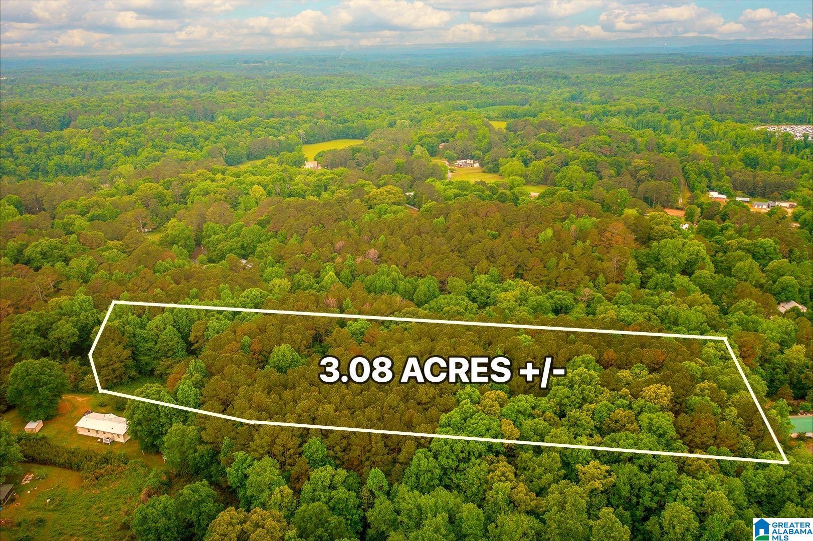 0 Spunky Hollow Road, Unit 1 Trafford, AL 35172 - Photo 10 of 14 Gallery Image 10