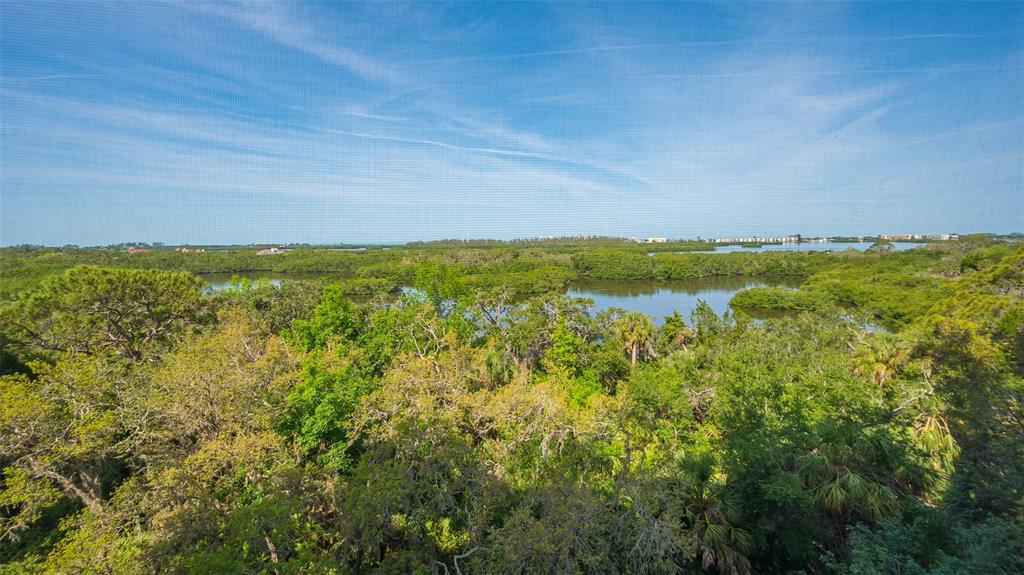 401 North Point Road, Unit 603 Osprey, FL 34229 - Photo 5 of 96