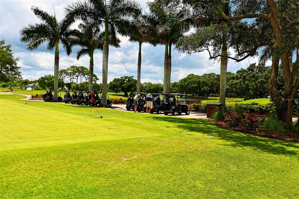 401 North Point Road, Unit 603 Osprey, FL 34229 - Photo 83 of 96