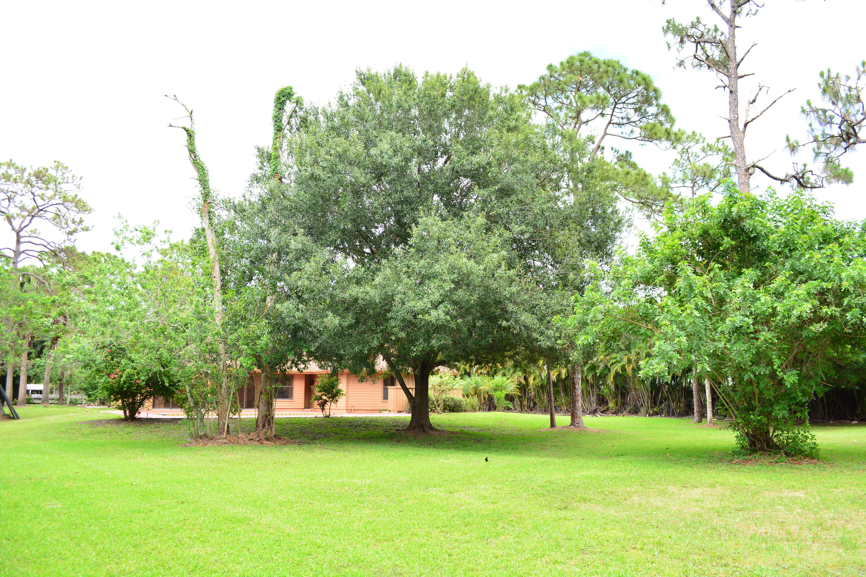 12358 154th Road North Jupiter, FL 33478 - Photo 3 of 18 Rear Exterior