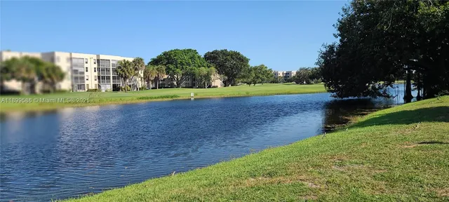 a view of a park with large trees and a big yard
