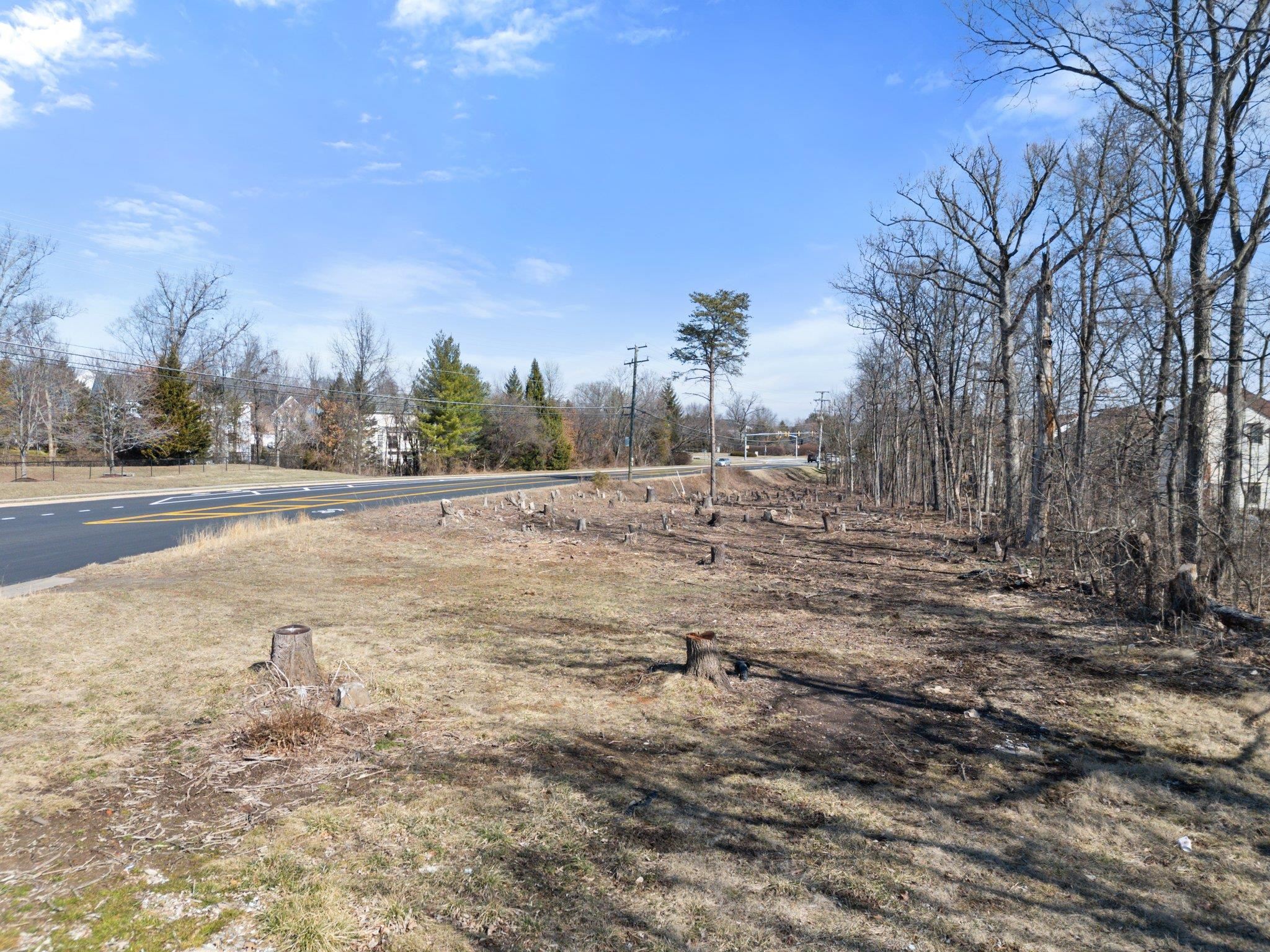20576 Ashburn Road Ashburn, VA 20147 - Photo 12 of 16 a view of dirt yard with large trees