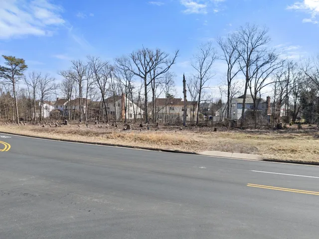 a view of a yard with a tree