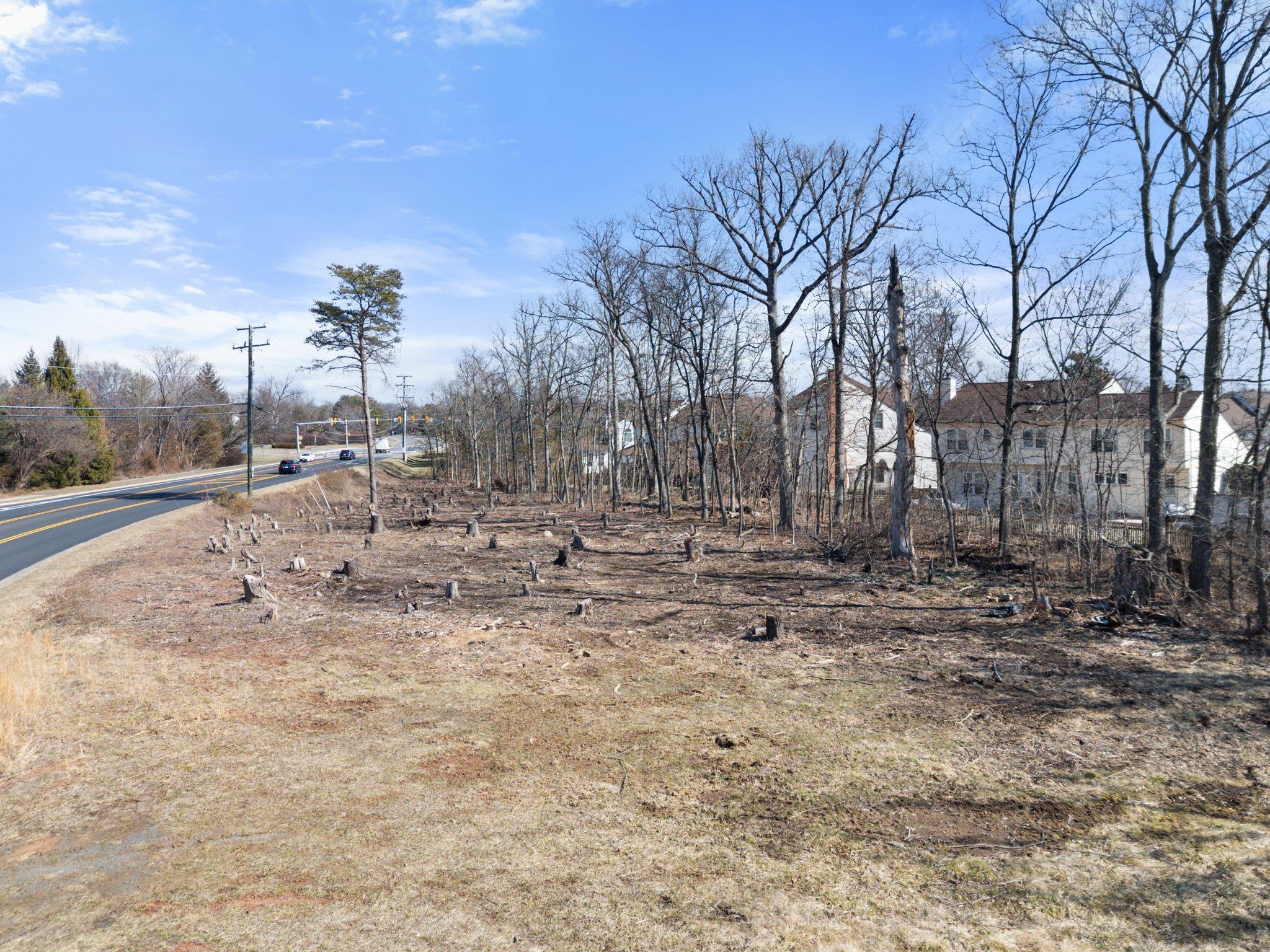 20576 Ashburn Road Ashburn, VA 20147 - Photo 7 of 16 a view of dirt yard with a large tree