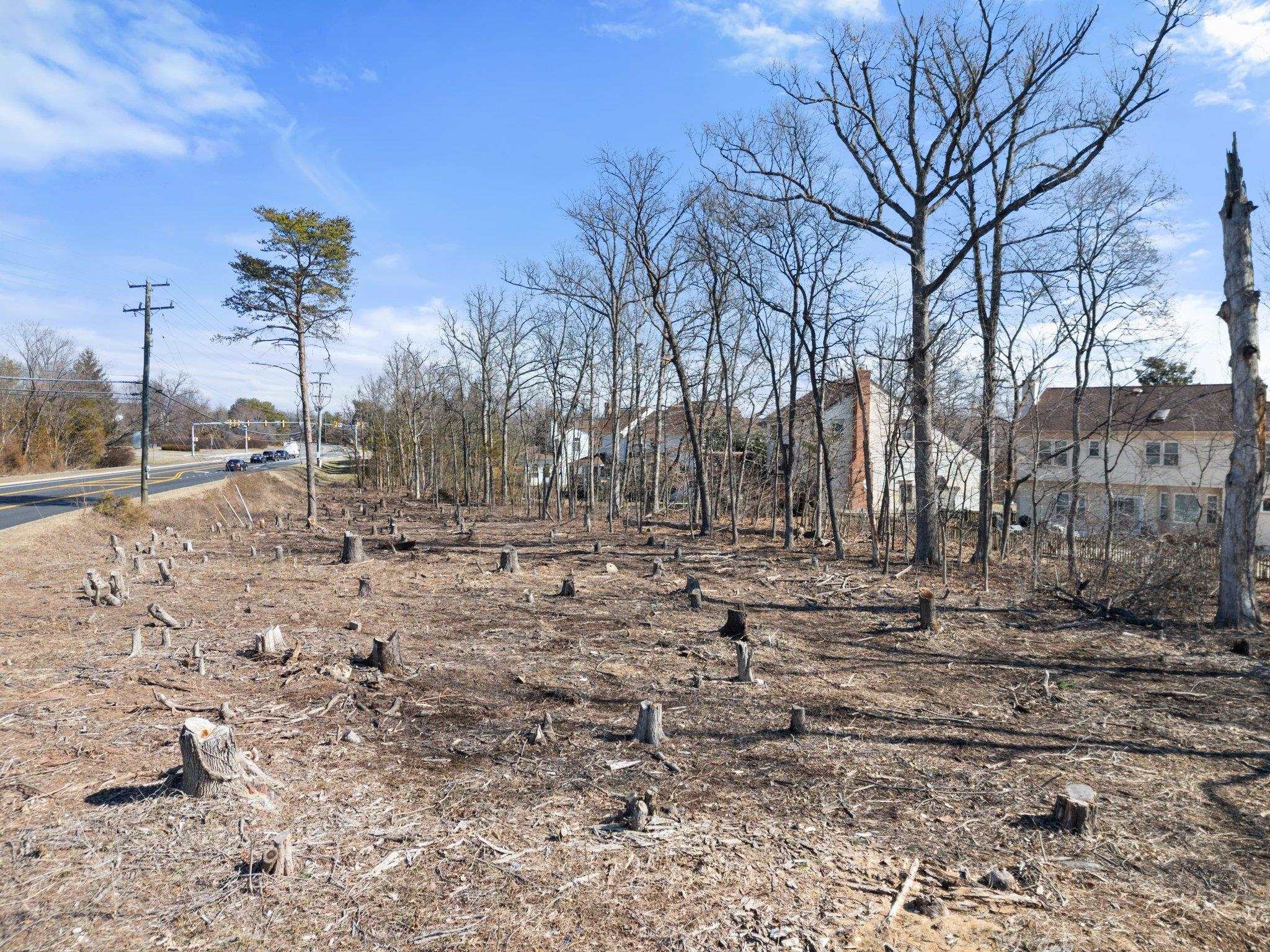 20576 Ashburn Road Ashburn, VA 20147 - Photo 8 of 16 a view of a yard with a house