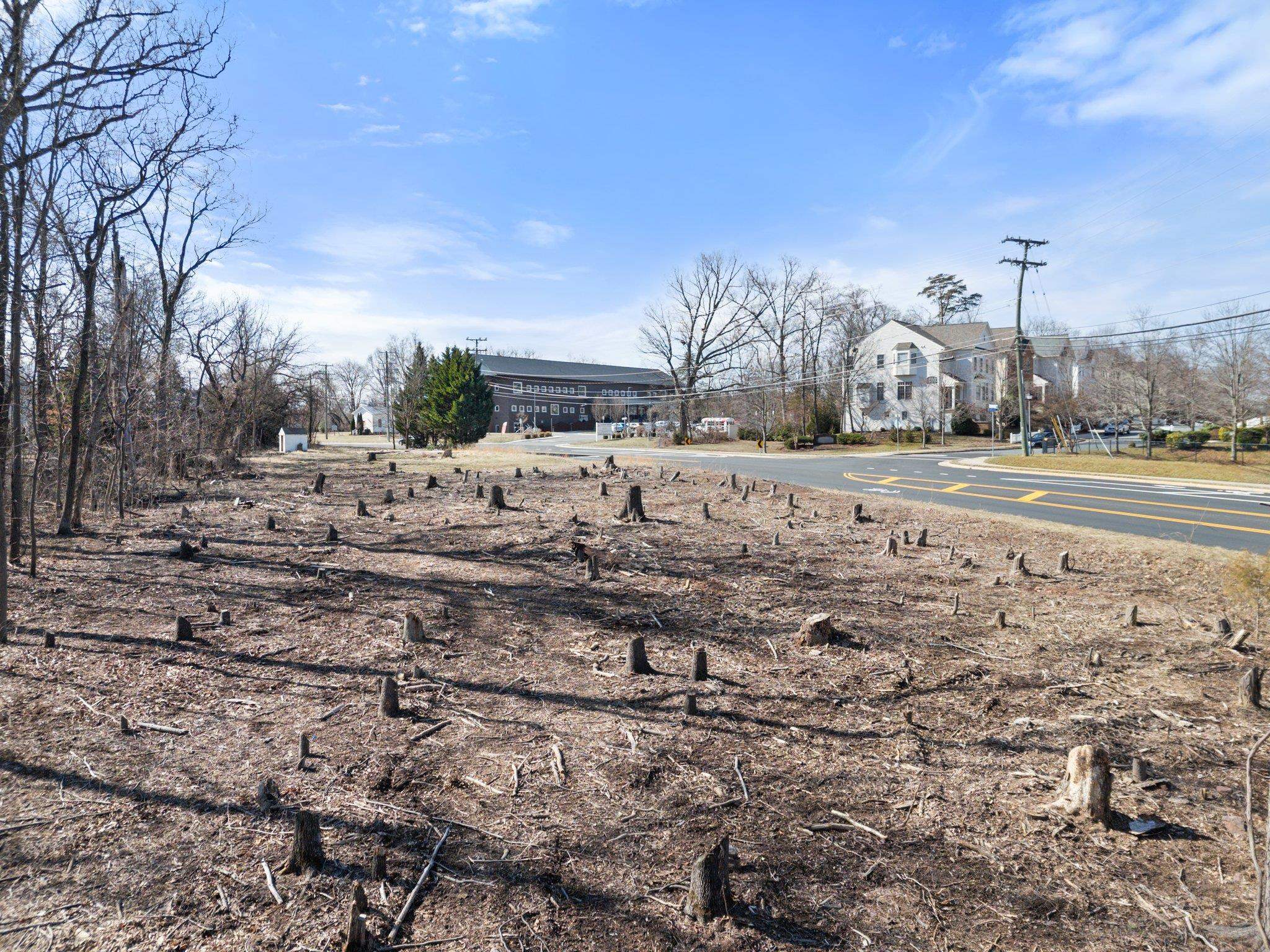 20576 Ashburn Road Ashburn, VA 20147 - Photo 9 of 16 a view of a yard with a large tree