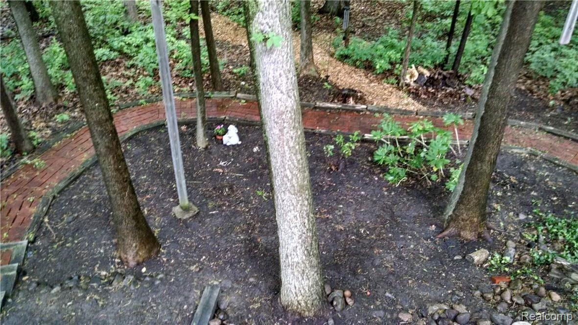 618 Shellbourne Drive Rochester, MI 48309 - Photo 8 of 38 backyard 3.jpg