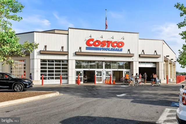 a view of a park with large trees