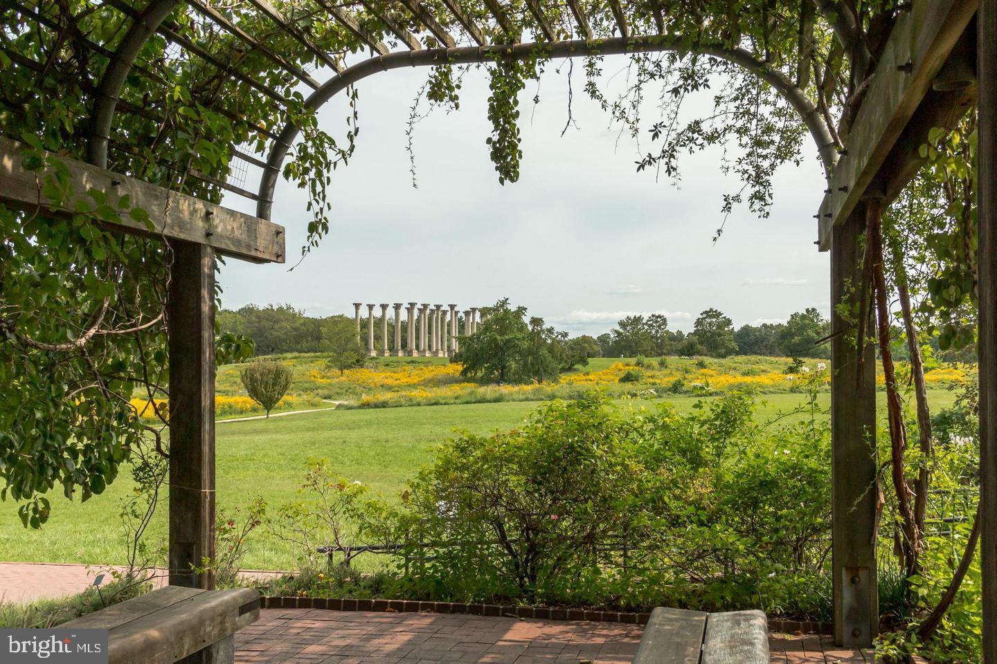 3637 Jamison Street Northeast Washington, DC 20018 - Photo 35 of 44 a view of a yard with a tree