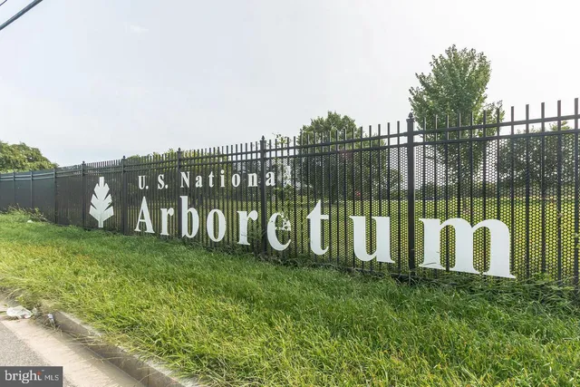 a view of a swimming pool with yard and trees in the background