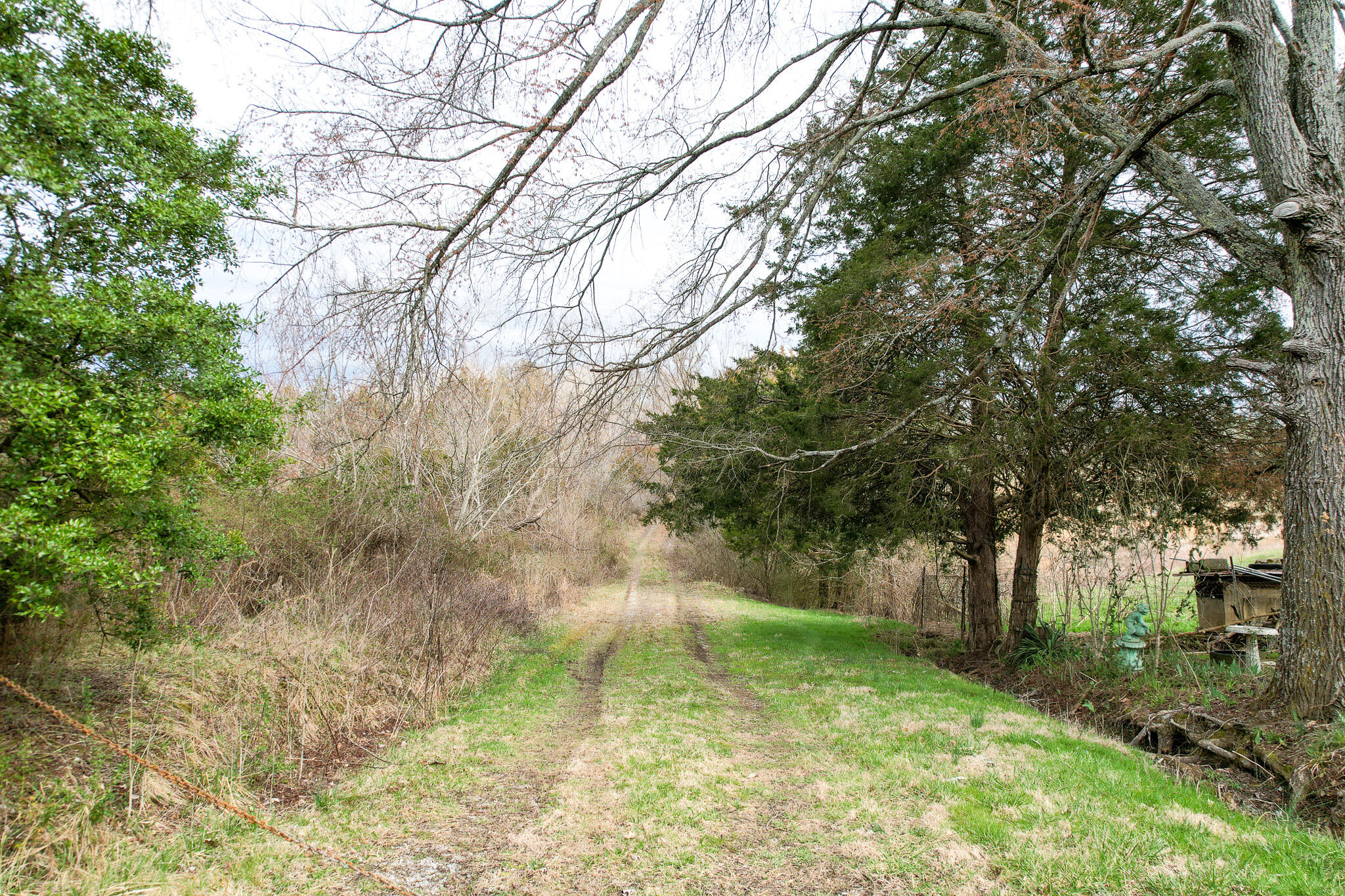 670 Mountain Valley Road Mohawk, TN 37810 - Photo 17 of 18 Abernathy Entrance