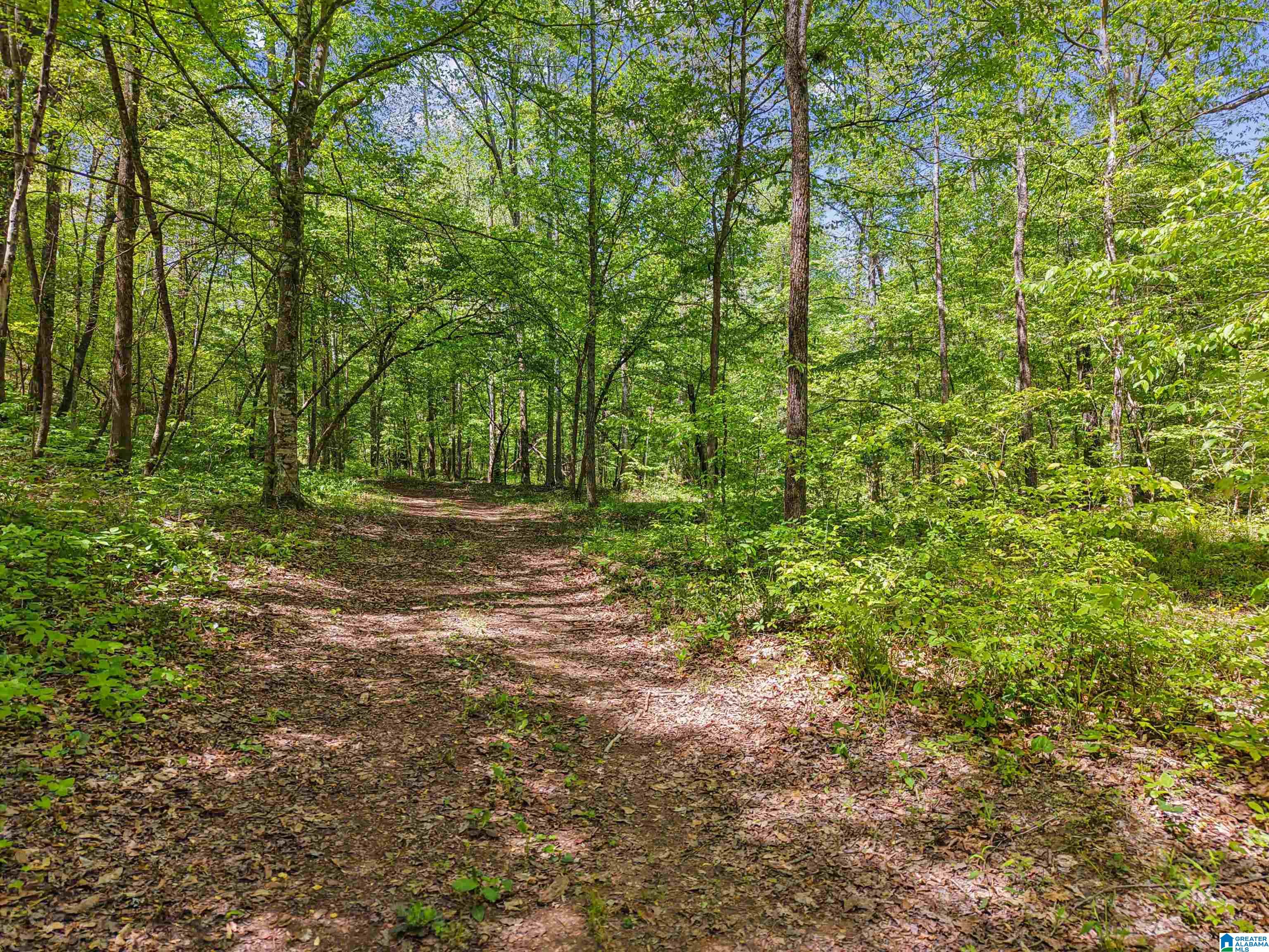 1678 Hays Cemetery Road Hayden, AL 35079 - Photo 50 of 87