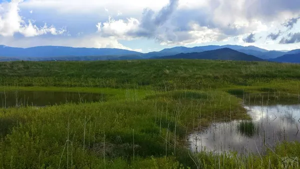 a view of lake with green space