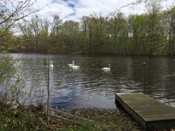 21 East Riverside Drive Dedham, MA 02026 - Photo 22 of 26 Gallery Image 22