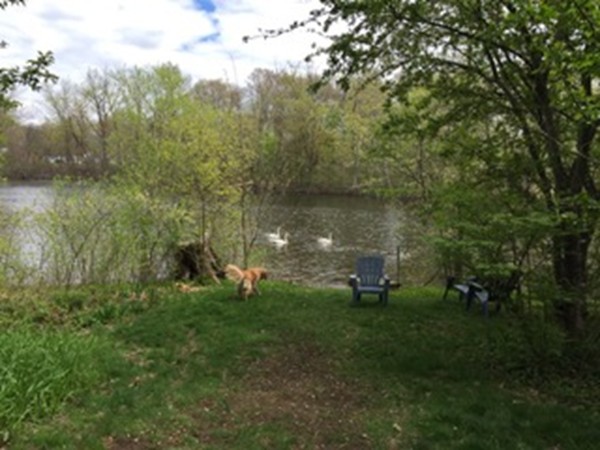 21 East Riverside Drive Dedham, MA 02026 - Photo 23 of 26 Gallery Image 23