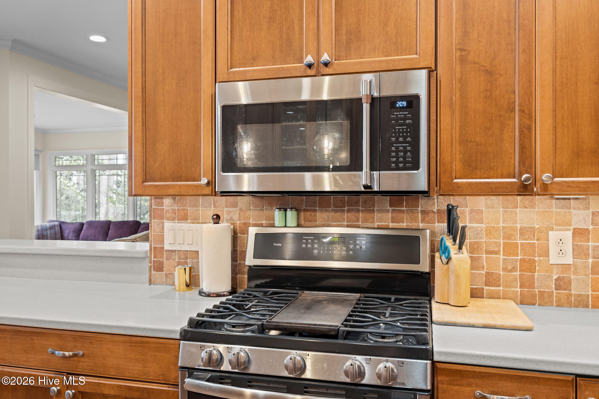 309 Neuse Drive Chocowinity, NC 27817 - Photo 16 of 74 31-web-or-mls-BLS_0054