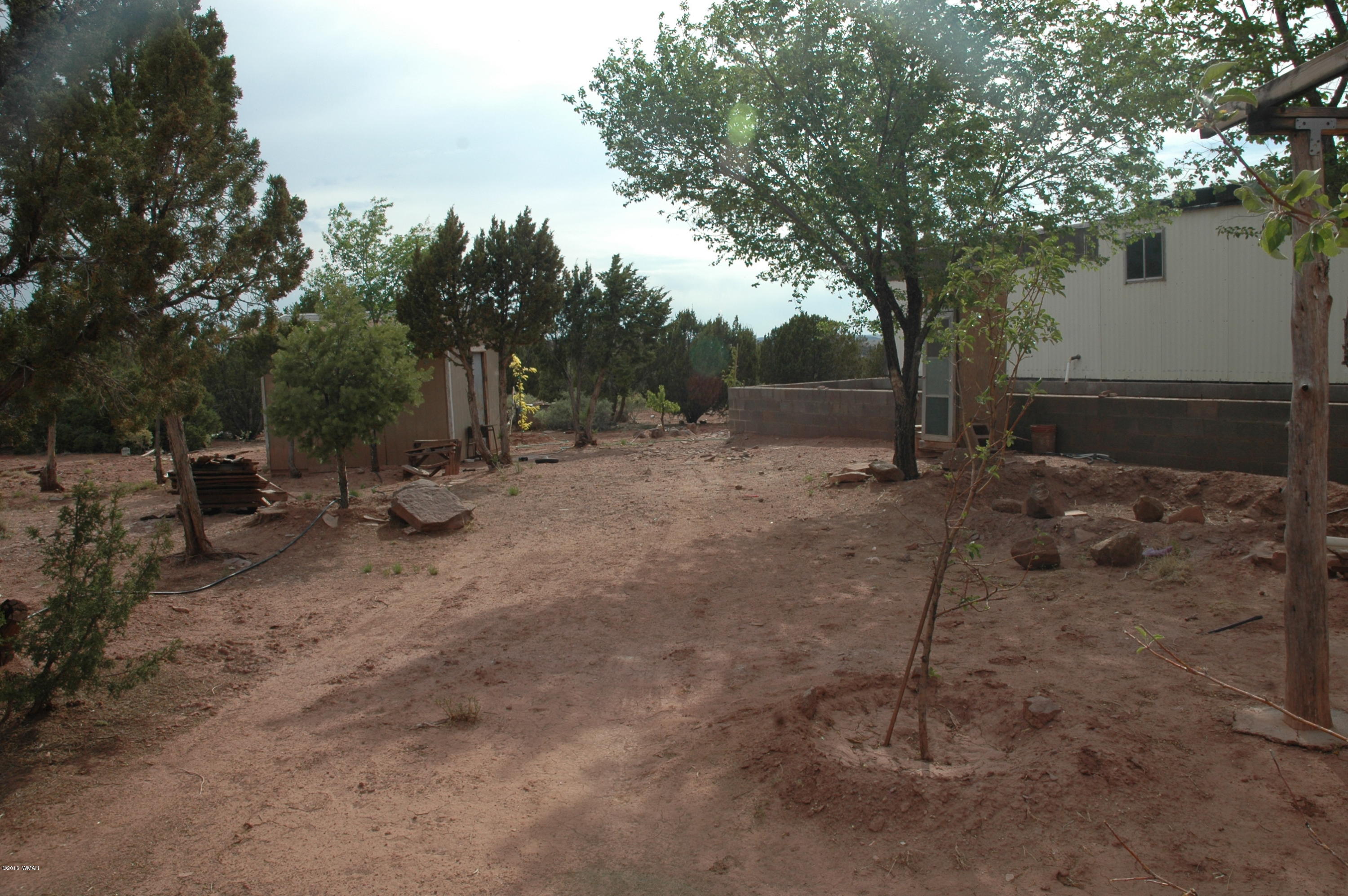 2736 Zaidee Road Show Low, AZ 85901 - Photo 15 of 53