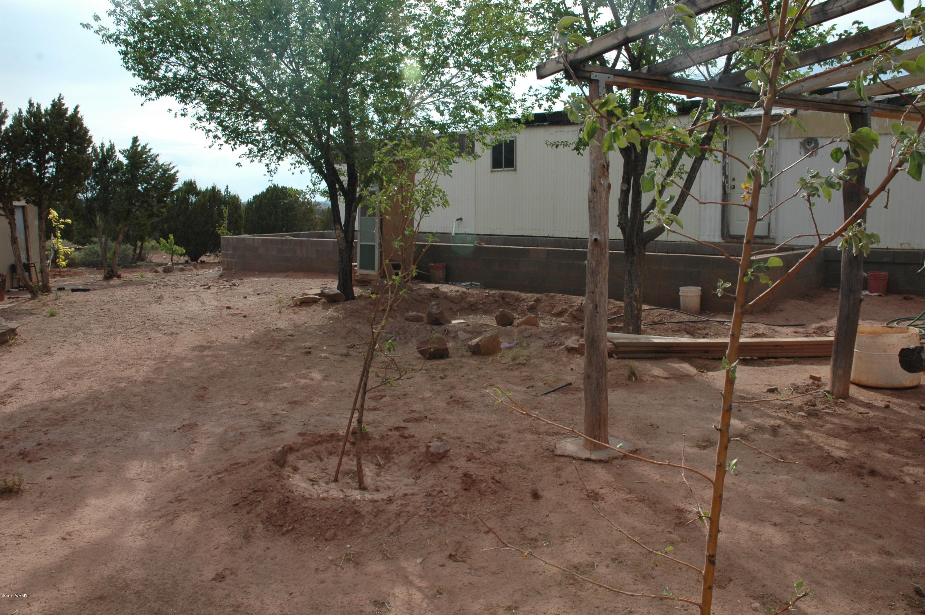 2736 Zaidee Road Show Low, AZ 85901 - Photo 16 of 53