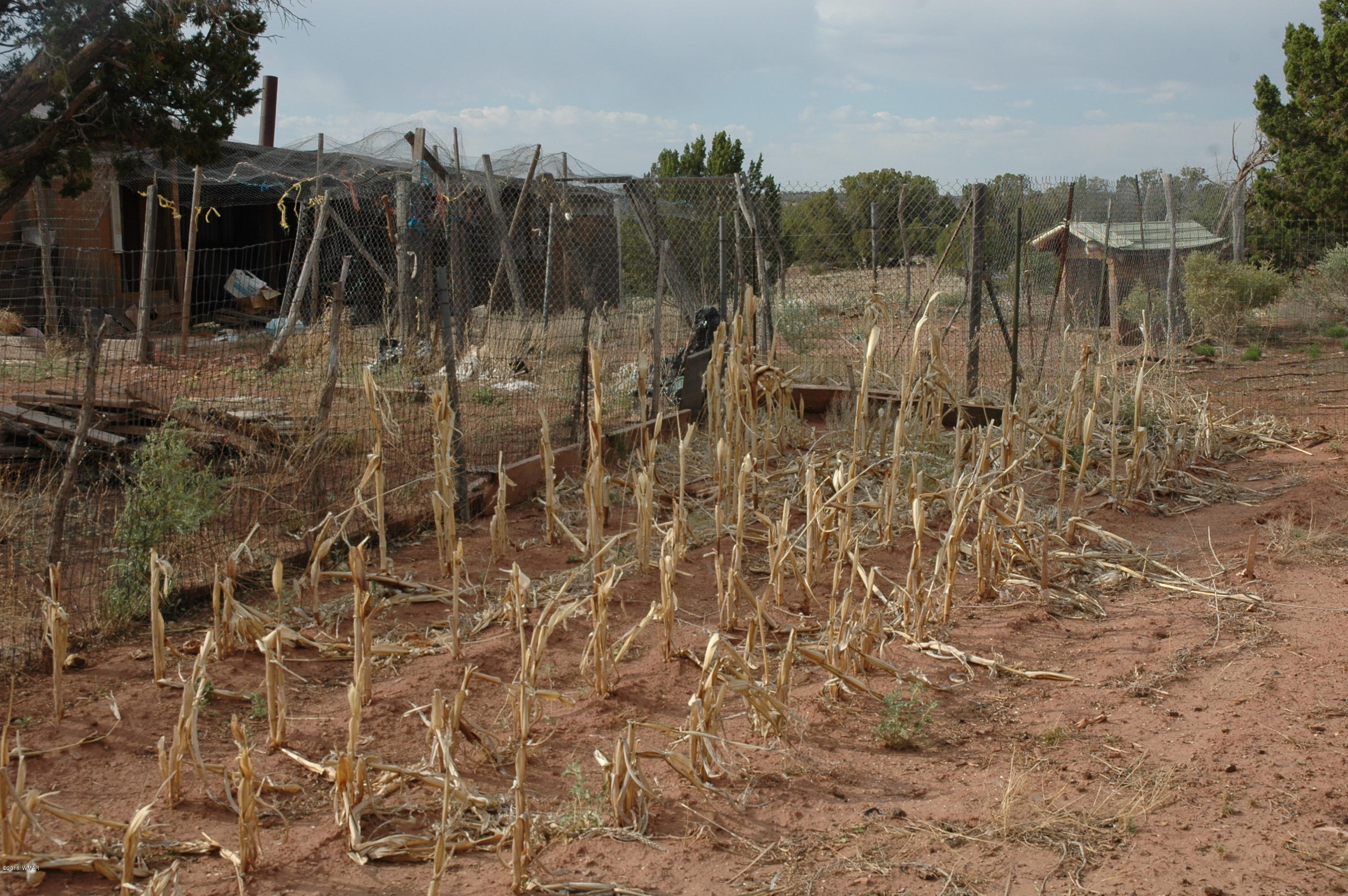 2736 Zaidee Road Show Low, AZ 85901 - Photo 26 of 53