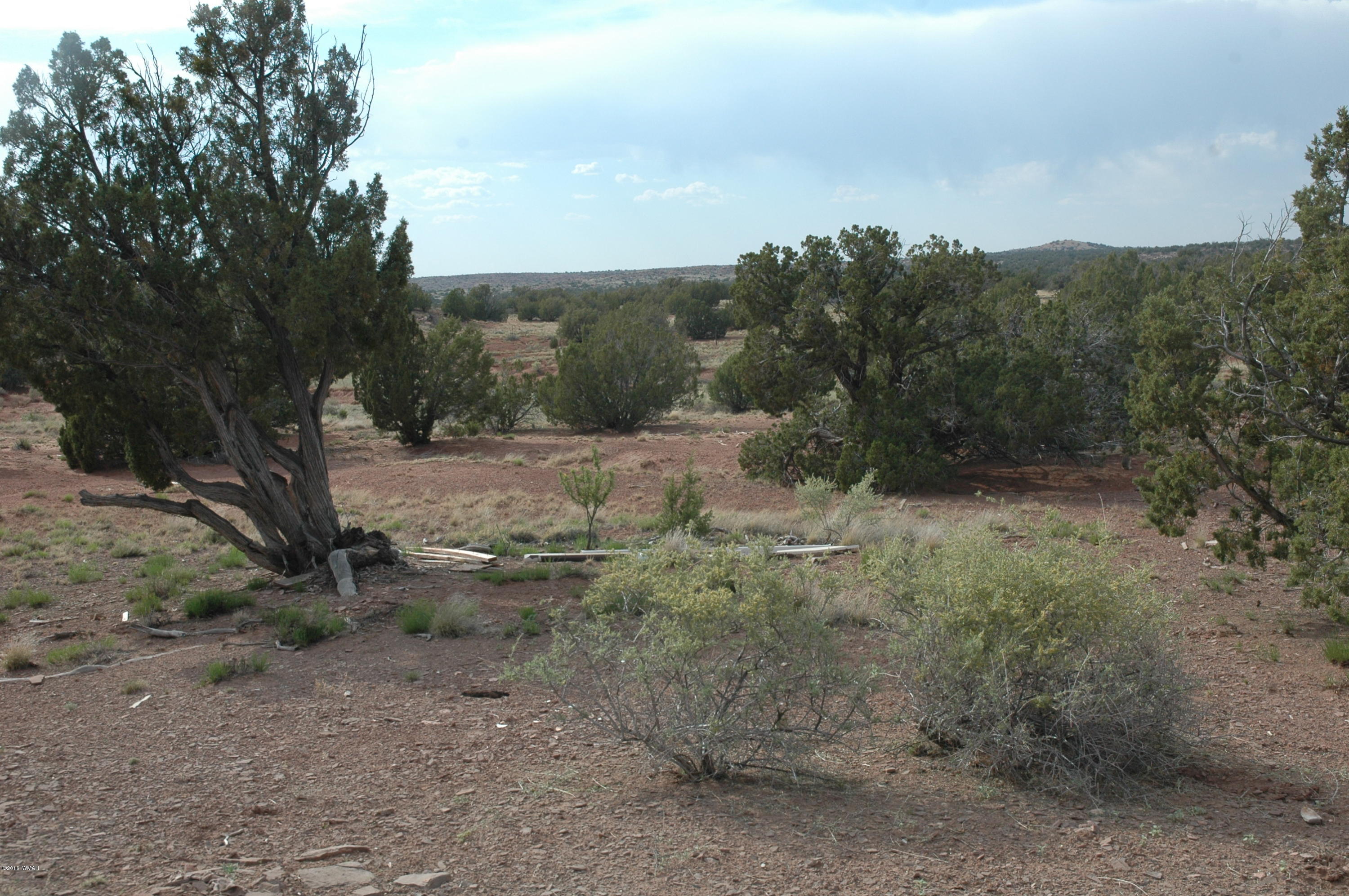 2736 Zaidee Road Show Low, AZ 85901 - Photo 31 of 53