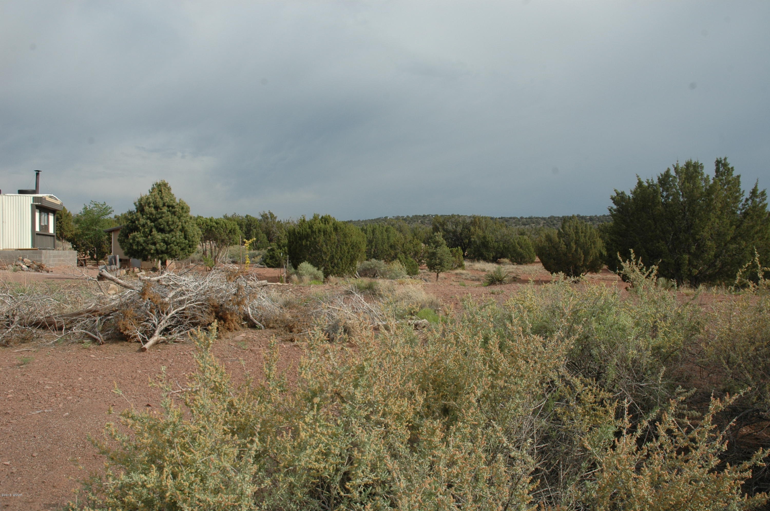 2736 Zaidee Road Show Low, AZ 85901 - Photo 34 of 53