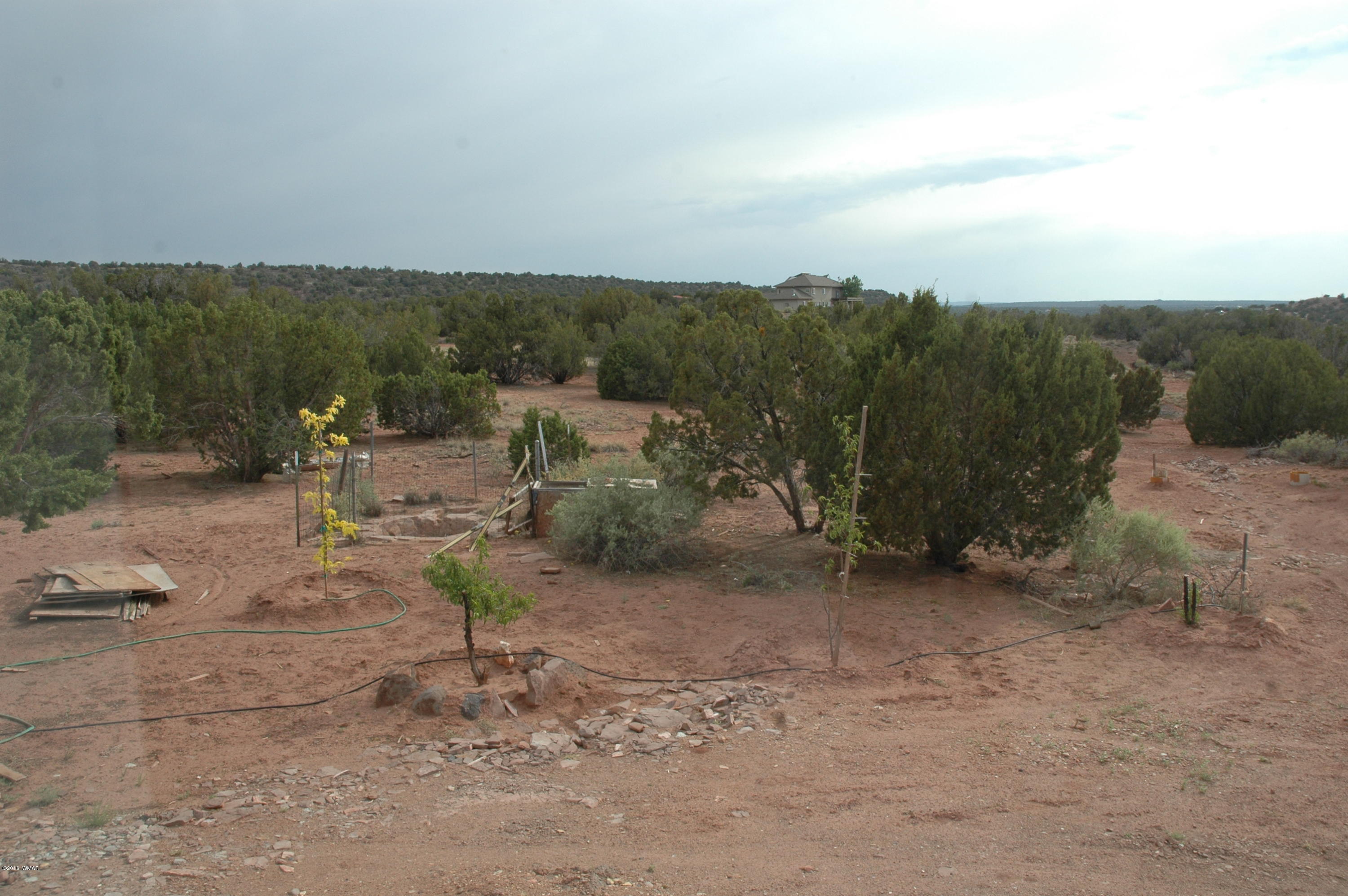 2736 Zaidee Road Show Low, AZ 85901 - Photo 4 of 53
