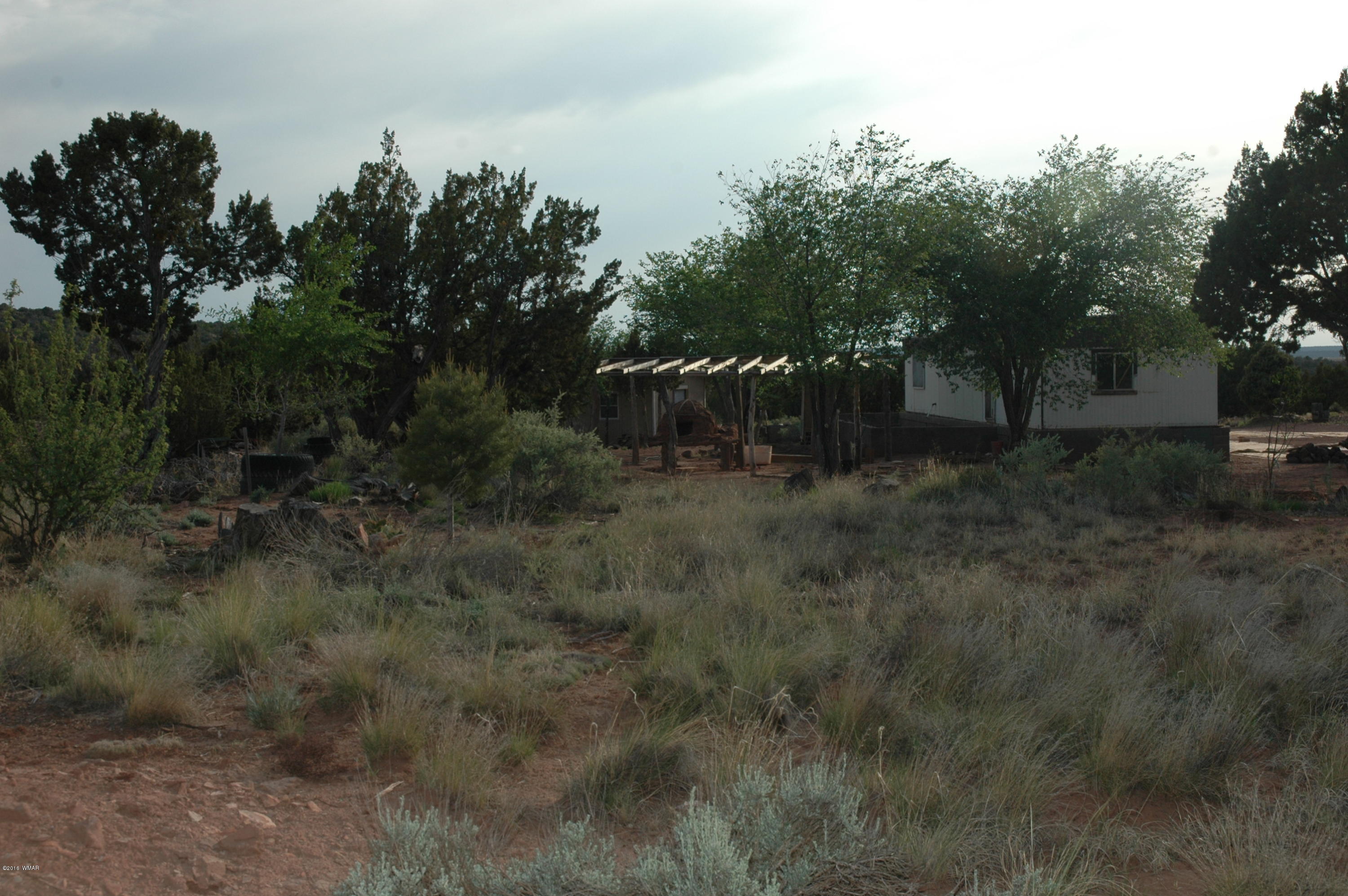 2736 Zaidee Road Show Low, AZ 85901 - Photo 50 of 53